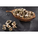 Graines de Moringa naturelles & équitables d'Haïti - Direct producteur