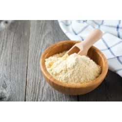 Organic Siberian Cedar Pine nuts Flour - Gluten free