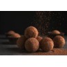 8 organic chestnuts candied with chocolate Vegan EPV from Provence