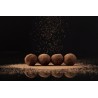 8 organic chestnuts candied with chocolate Vegan EPV from Provence