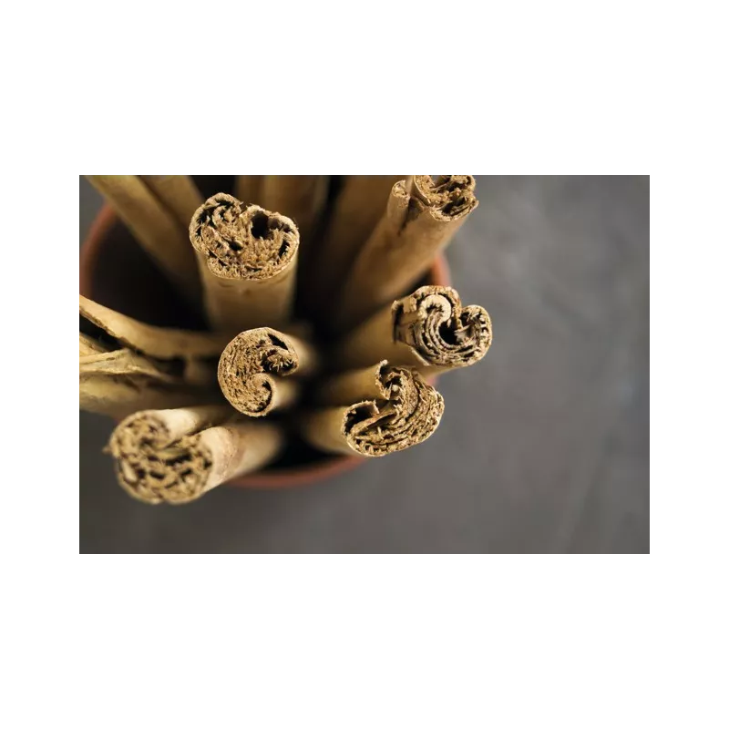 Cannelle bio & fairtrade IGP de Ceylan en bâtons du Sri Lanka