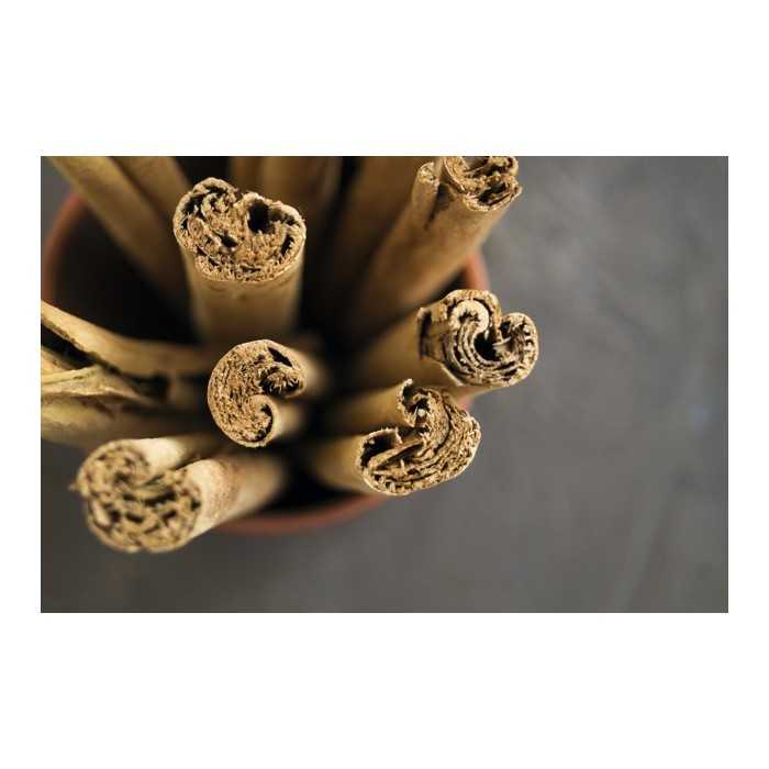 Organic & fairtrade cinnamon sticks PGI from Ceylon in Sri Lanka