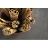Organic & fairtrade cinnamon sticks PGI from Ceylon in Sri Lanka