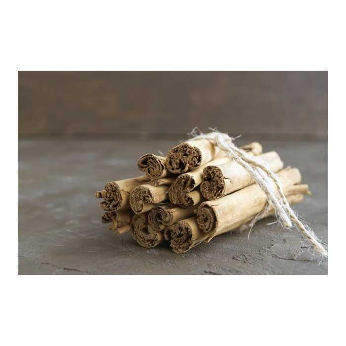 Organic & fairtrade cinnamon sticks PGI from Ceylon in Sri Lanka