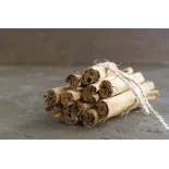 Organic & fairtrade cinnamon sticks PGI from Ceylon in Sri Lanka