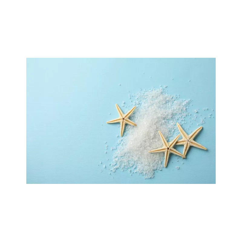 Coarse gray salt PGI from Guérande Label rouge made in France- Dire...