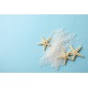 Coarse gray salt PGI from Guérande Label rouge made in France- Dire...