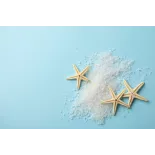 Coarse gray salt PGI from Guérande Label rouge made in France- Dire...