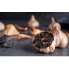 Organic black garlic PGI from Drome in France - Direct Producer