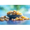 Organic golden Smyrna raisins from Uzbekistan - Sulphur free