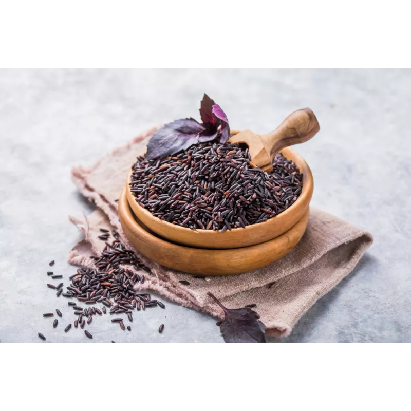 Organic black rice PGI from Camargue - Direct producer
