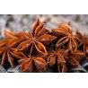 Organic & fairtrade whole star anise from Kampot - Direct producer