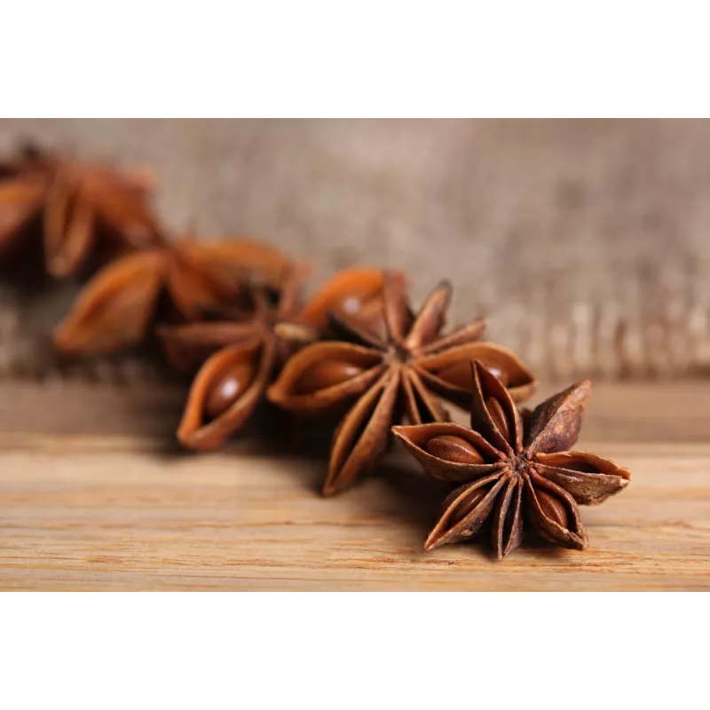 Organic & fairtrade whole star anise from Kampot - Direct producer