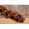 Organic & fairtrade whole star anise from Kampot - Direct producer