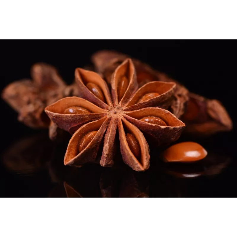 Organic & fairtrade whole star anise from Kampot - Direct producer