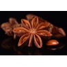 Organic & fairtrade whole star anise from Kampot - Direct producer