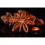 Organic & fairtrade whole star anise from Kampot - Direct producer