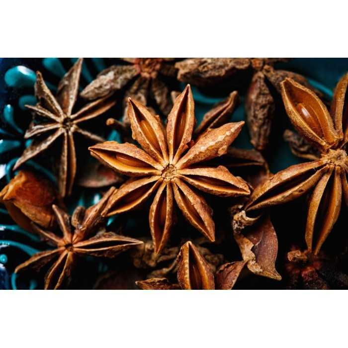 Organic & fairtrade whole star anise from Kampot - Direct producer