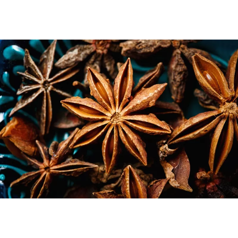 Organic & fairtrade whole star anise from Kampot - Direct producer