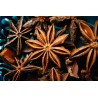 Organic & fairtrade whole star anise from Kampot - Direct producer