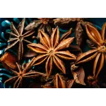 Organic & fairtrade whole star anise from Kampot - Direct producer