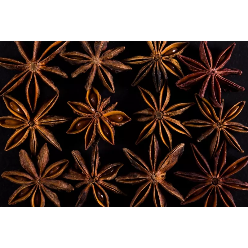 Organic & fairtrade whole star anise from Kampot - Direct producer