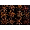 Organic & fairtrade whole star anise from Kampot - Direct producer