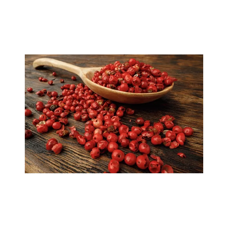 Organic fairtrade red pepper PGI from Kampot - direct producer