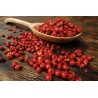 Organic fairtrade red pepper PGI from Kampot - direct producer