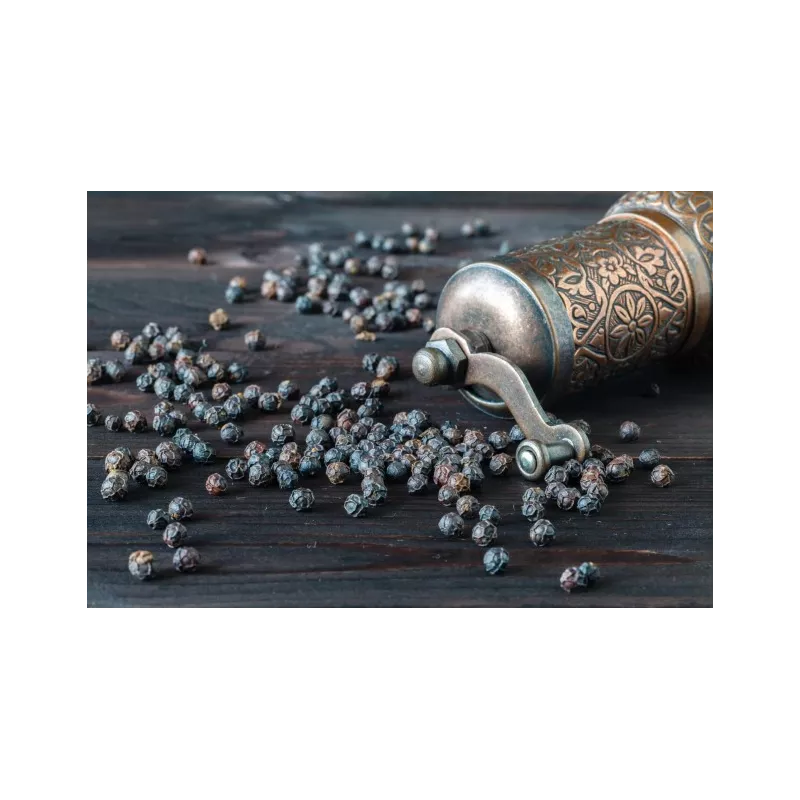 Organic fairtrade black pepper PGI from Kampot - direct producer