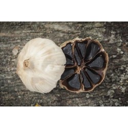 Organic black garlic PGI from Drome in France - Direct Producer