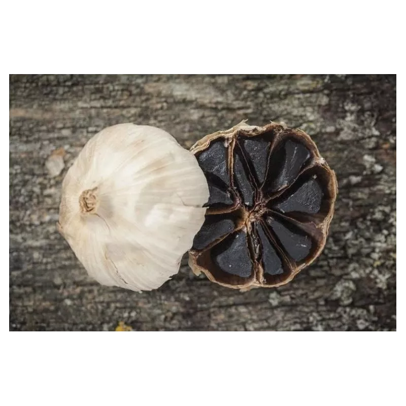 Organic black garlic PGI from Drome in France - Direct Producer Organic black garlic PGI from Drome in France - Direct Producer