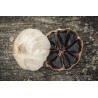 Organic black garlic PGI from Drome in France - Direct Producer