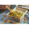 Organic & artisanal Farfalle or butterfly pasta 3 colors from Franc...
