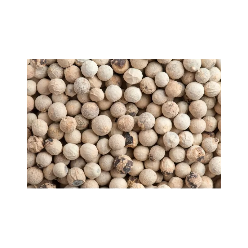 Poivre blanc bio fairtrade IGP de Kampot - direct producteur