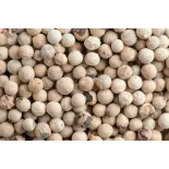 Poivre blanc bio fairtrade IGP de Kampot - direct producteur