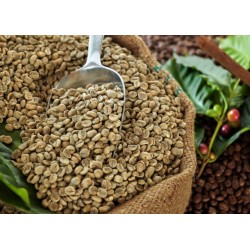 Café vert équitable d'exception en grain d'Haïti