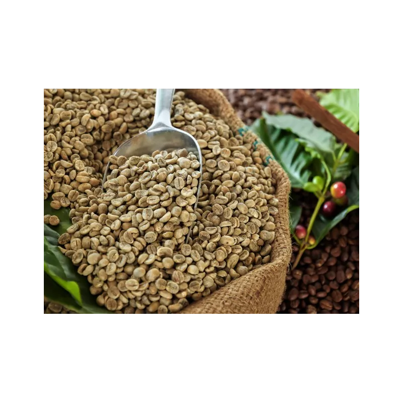 Café vert naturel & fairtrade en grain d'Haïti Premium - Direct pro... Café vert naturel & fairtrade en grain d'Haïti Premium - Direct pro...