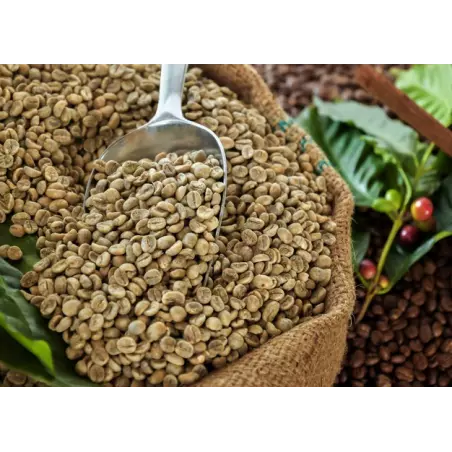 Café vert naturel & fairtrade en grain d'Haïti Premium - Direct pro...