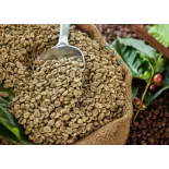 Café vert naturel & fairtrade en grain d'Haïti Premium - Direct pro...