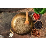 Café vert naturel & fairtrade en grain d'Haïti Premium - Direct pro...