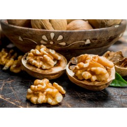 Organic shelled walnut kernels PDO from Perigord - direct producer