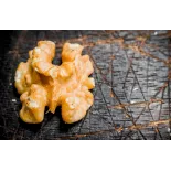 Extra Organic shelled walnut kernels PDO from Perigord - direct pro...