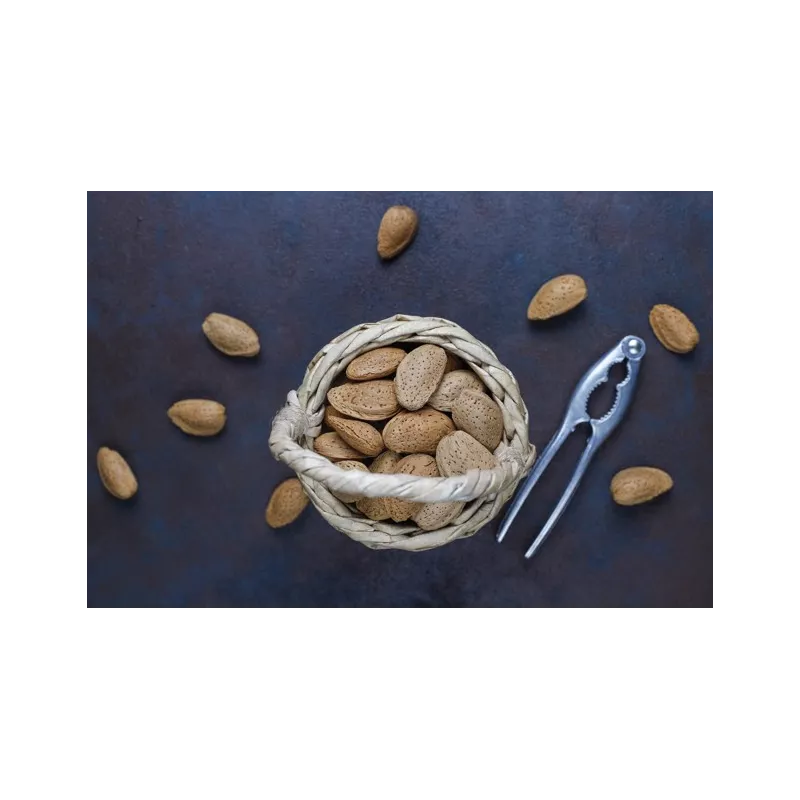 Amandes bio en coque de Provence - direct producteur