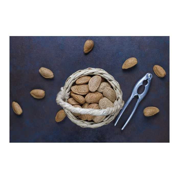 Organic almonds in shell from Provence - direct producer