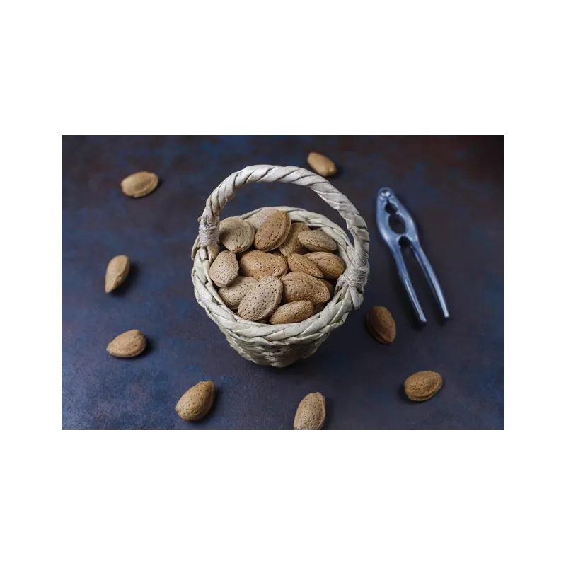 Amandes bio en coque de Provence - direct producteur
