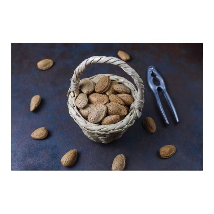 Organic almonds in shell from Provence - direct producer