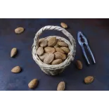 Amandes bio en coque de Provence - direct producteur