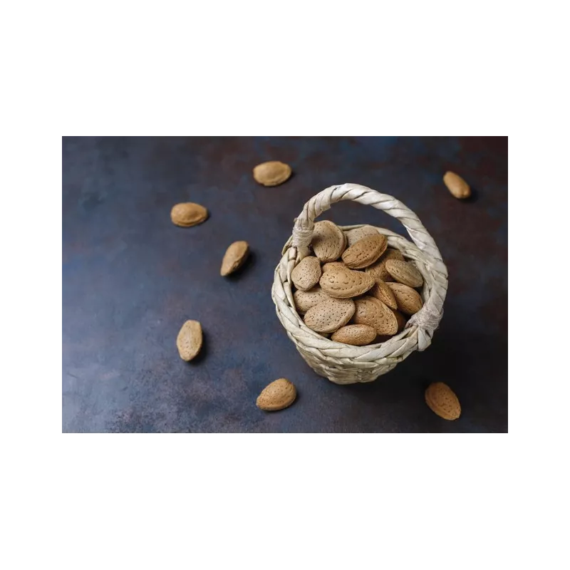 Organic almonds in shell from Provence - direct producer