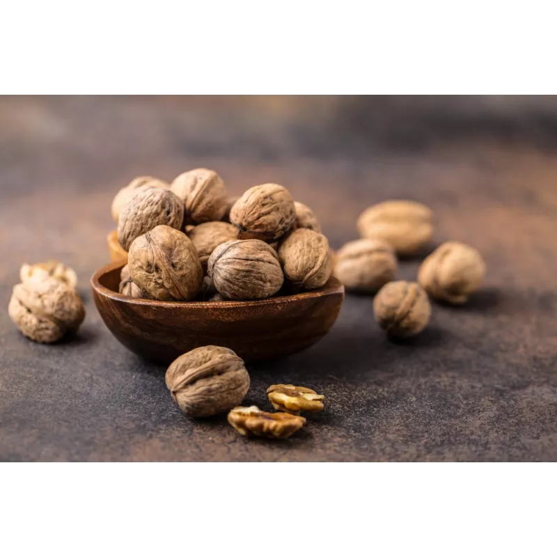 Organic Walnut Kernels in shell PDO From Perigord - direct producer